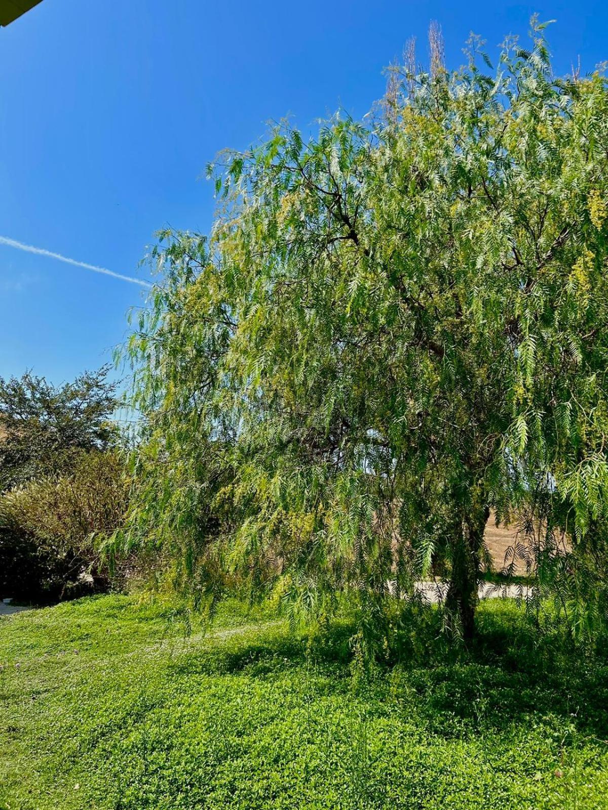 Podere Farnesiana Resort 3*
